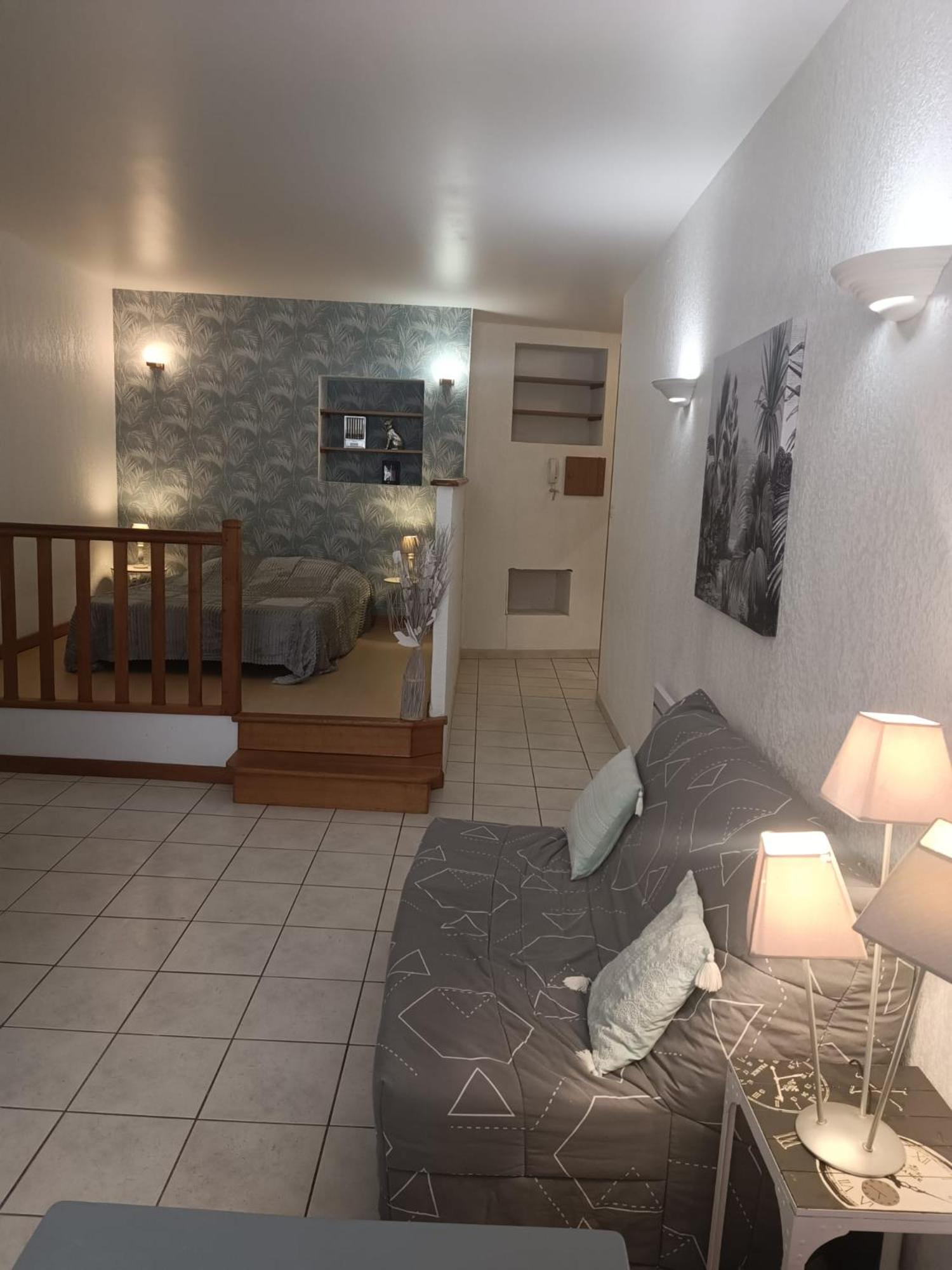 Grand Studio Meuble Chez Coco Romans-sur-Isère Buitenkant foto